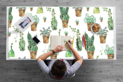 Namizna podloga Painted cacti