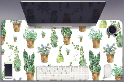 Namizna podloga Painted cacti