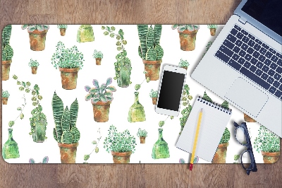 Namizna podloga Painted cacti
